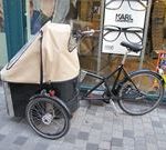 デンマークで小さい子供がいる家庭では、よくこの荷台付きの自転車に子供を載せて、保育園に送っています。